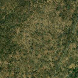 Satellite imagery of Buck Ridge, US
