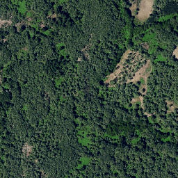 Satellite imagery of survey_point, PT