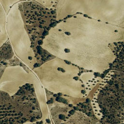 Satellite imagery of survey_point, ES