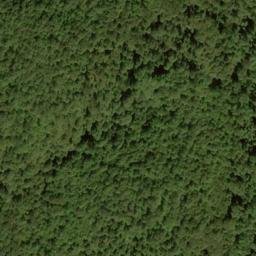 Satellite imagery of Conrad Ridge, US