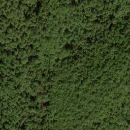 Satellite imagery of Conrad Ridge, US