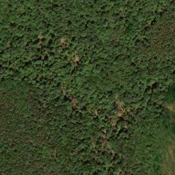 Satellite imagery of Buck Ridge, US