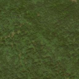 Satellite imagery of Beavertown Ridge, US