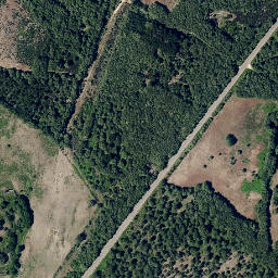Satellite imagery of survey_point, PT