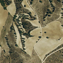 Satellite imagery of survey_point, ES