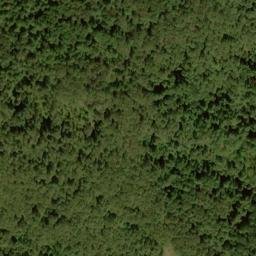 Satellite imagery of Forks Ridge, US