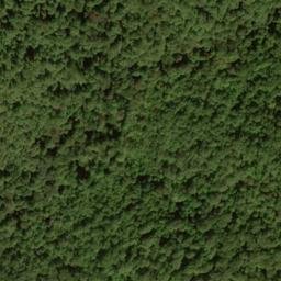 Satellite imagery of Conrad Ridge, US