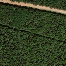Satellite imagery of Skinner Ridge, US