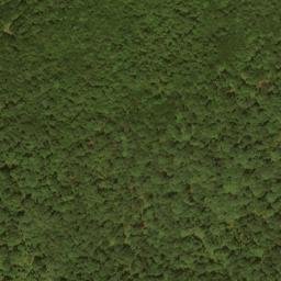 Satellite imagery of Lays Ridge, US
