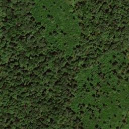 Satellite imagery of Skinner Ridge, US