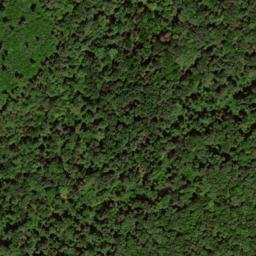 Satellite imagery of Skinner Ridge, US
