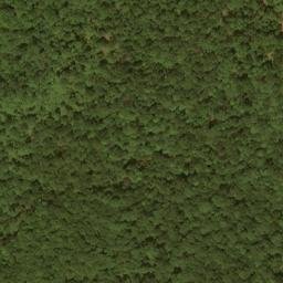 Satellite imagery of Lays Ridge, US