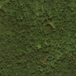 Satellite imagery of Lays Ridge, US