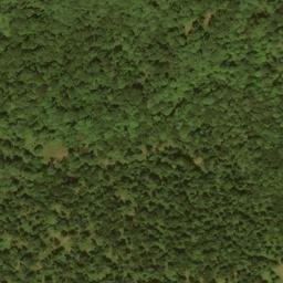 Satellite imagery of Lays Ridge, US