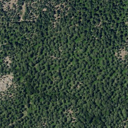Satellite imagery of survey_point, PT