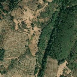 Satellite imagery of survey_point, PT