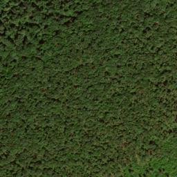 Satellite imagery of Skinner Ridge, US