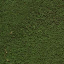 Satellite imagery of Buck Ridge, US