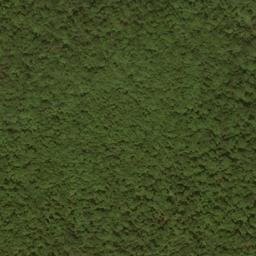 Satellite imagery of Buck Ridge, US