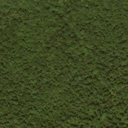Satellite imagery of Buck Ridge, US