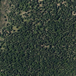 Satellite imagery of survey_point, PT