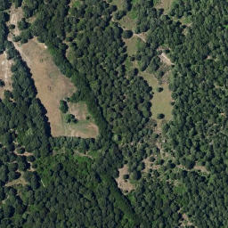 Satellite imagery of survey_point, PT