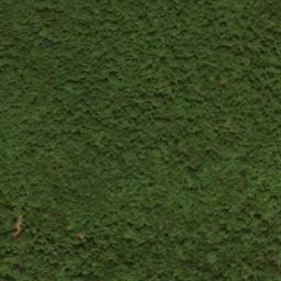 Satellite imagery of Wildcat Ridge, US