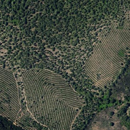 Satellite imagery of survey_point, PT