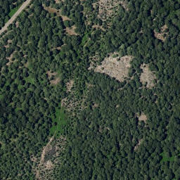 Satellite imagery of survey_point, PT
