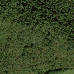 Satellite imagery of Crist Ridge, US
