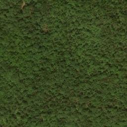 Satellite imagery of Wildcat Ridge, US