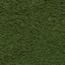 Satellite imagery of Buck Ridge, US