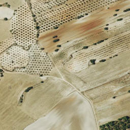 Satellite imagery of survey_point, ES