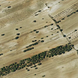 Satellite imagery of survey_point, ES