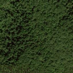 Satellite imagery of Bald Ridge, US