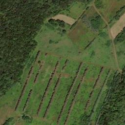 Satellite imagery of Big Ridge, US