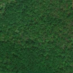 Satellite imagery of Black Oak Ridge, US