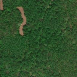 Satellite imagery of Black Oak Ridge, US