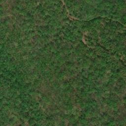 Satellite imagery of Black Oak Ridge, US