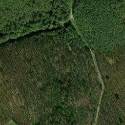 Satellite imagery of Diechland Point, US