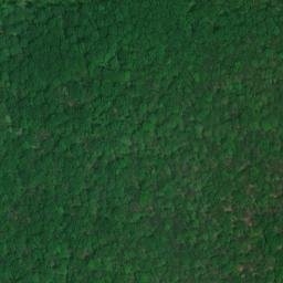 Satellite imagery of Black Oak Ridge, US