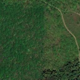 Satellite imagery of Black Oak Ridge, US