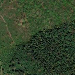 Satellite imagery of Black Oak Ridge, US