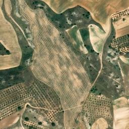 Satellite imagery of survey_point, ES