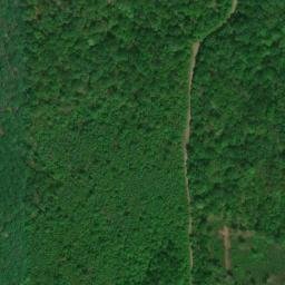 Satellite imagery of Cannon Hill, US