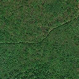Satellite imagery of Black Oak Ridge, US