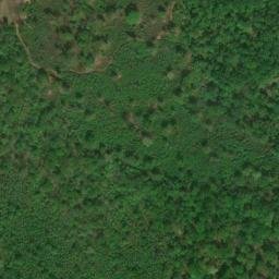 Satellite imagery of Black Oak Ridge, US