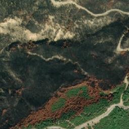 Satellite imagery of Rhododendron Ridge, TR
