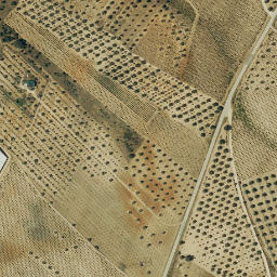 Satellite imagery of survey_point, ES