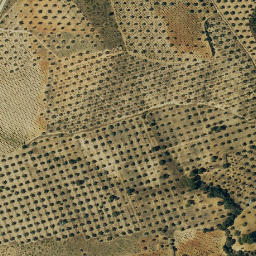 Satellite imagery of survey_point, ES